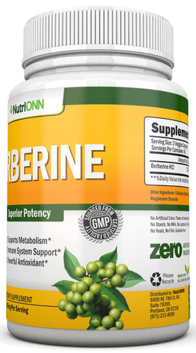 Berberine - 1200Mg - 90 Vegetarian Capsules - Pure Berberine Extract Supplement - Superior Potency to Support Immune Health