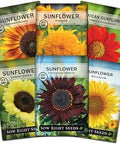 Sow Right Seeds - Large Sunflower Seed Collection for Planting Garden | Includes Peredovik, Mexican, Lemon Queen, and more. Plant annual non-GMO heirloom flowers for outdoor pollinator gardening.