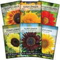 Sow Right Seeds - Large Sunflower Seed Collection for Planting Garden | Includes Peredovik, Mexican, Lemon Queen, and more. Plant annual non-GMO heirloom flowers for outdoor pollinator gardening.