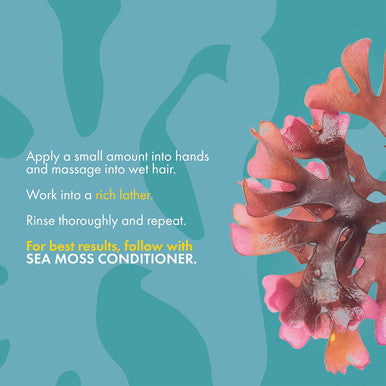Mielle Organics Sea Moss Anti-Shedding Shampoo