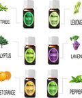 Aromatherapy Essential Oils Kits - DALEME 100% Pure Therapeutic Grade Gift Sets for Oil Diffuser, Massage including Tea Tree/Peppermint/Sweet Orange/Lavender/Eucalyptus/Lemongrass
