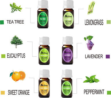 Aromatherapy Essential Oils Kits - DALEME 100% Pure Therapeutic Grade Gift Sets for Oil Diffuser, Massage including Tea Tree/Peppermint/Sweet Orange/Lavender/Eucalyptus/Lemongrass