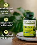 Banyan Botanicals Triphala Tablets - Organic Triphala Supplement With Amla, Haritaki & Bibhitaki For Digestion, Elimination & Healthy Gut Microbiome* 90 Tablets Non-Gmo Sustainably Sourced Vegan