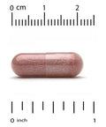 Lactobif Probiotics, Cran-Max, 25 Billion Cfu, Cranberry Concentrate With Bio-Shield 8 Active & Clinically Researched Probiotic Strains, Individually Double-Foil Blister Sealed, 30 Veggie Capsules
