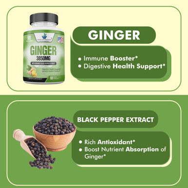 Ginger Root Capsules Organic 3850mg, Ginger Powder, Ginger Supplements, Ginger Capsules, Ginger Pills, Ginger Extract, Organic Ginger Root, Immune Support, Alternative to Ginger Chews, 90 Veg Capsule