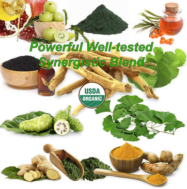 Bodymune Memory Support Supplement for Occasional Memory Loss Mental Fatigue Mental Exhaustion Organic Ginkgo Biloba Ashwagandha Brahmi Chlorella Spirulina Noni Essential Oils More 60Day Supply