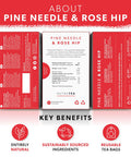 Nutra Tea - Pine Needle & Rose Hip Tea | Pine Needle Tea | Rose Hips Tea - 40 Tea Bags - Herbal Tea - (2 Pack)