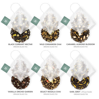 Teabloom Organic Black Forest Pyramid Tea Presentation Box 12 Assorted Black Tea Blends USDA Organic Whole-Leaf Pyramid Tea Sachets