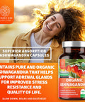 N1N Premium Organic Ashwagandha 1360mg Black Pepper Extract 90 Tablets