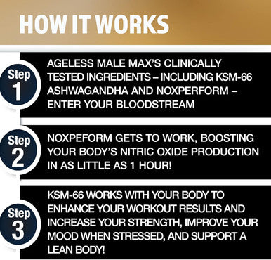 Max Chewable Nitric Oxide Booster Supplement For Men ÃƒÂ¢Ã¢â€šÂ¬Ã¢â‚¬Å“ High Potency Ashwagandha Extract To Boost Workouts, Muscle & Performance, Reduce Stress, Support Sleep - 100 Count
