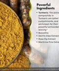 Irwin Naturals Turmeric Extra, Curcumin C3 Complex 60 Liquid Soft-Gels For Whole Body Wellness