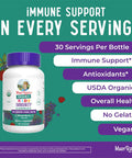 Maryruth Organics Kids Immune Support Gummies | USDA Organic | Vitamin C Zinc and Elderberry Gummies for Kids| Immune Support for Kids Ages 4+ | Vegan | Non-GMO | Gluten | 60 Count