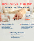 NativePath Antarctic Krill Oil - Wild-Caught Omega 3 Krill Oil 500mg Softgels with EPA DHA and Astaxanthin - Supplement for Joint Heart Brain and Immunity - 60 ct - No Fishy Aftertaste