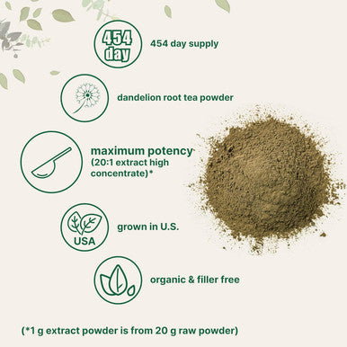 Micro Ingredients Organic Dandelion Root Tea Powder 1lb | Up to 450 Servings | Premium Dark Tea Source for Daily Beverage | 100% Roasted Dandelion Supplement | Caffeine Non-GMO Eco-Friendly Recyclable Bags