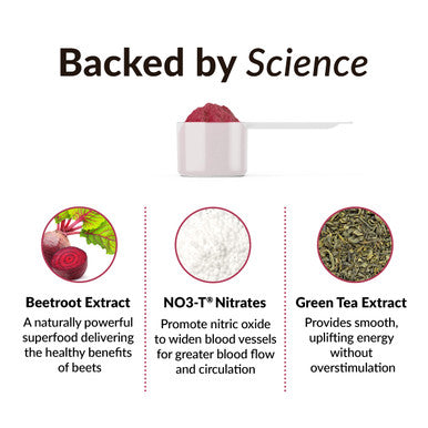 Force Factor Total Beets Beet Root Powder with Energy, NO3-T s to Support Circulation, Pressure, Flow, and Stamina - Plus Green Tea Extract. A Superfood Supplement, 30 Servings
