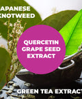 Resveratrol with Japanese Knotweed & Green Tea - Dietary Supplement - for Cardiovascular Health - Metabolism, Joints, Immune System - Gluten & GMO Free - 60 Vegan Capsules