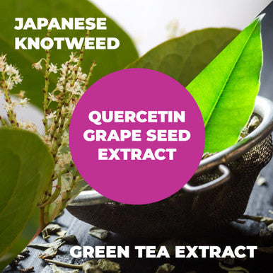 Resveratrol with Japanese Knotweed & Green Tea - Dietary Supplement - for Cardiovascular Health - Metabolism, Joints, Immune System - Gluten & GMO Free - 60 Vegan Capsules
