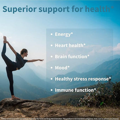 Super B-Complex Methylated Sustained Release Clean Label B Complex 180 Small Tablets