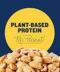 PLANTERS Salted Peanuts, 2.5 oz, 15-Pack, Snack Nuts