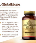 Solgar Reduced L-Glutathione 250 Mg 60 Vegetable Capsules - Antioxidant Support - Free Form Amino Acids - Non-Gmo Vegan Gluten Free Dairy Free Kosher - 60 Servings