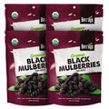 Berrilys Organic Dried Mulberries, Black, Dried Mulberry, Non-GMO, Unsulfured, Raw, 10 oz, Healthy Snacking, Great Ingredient for Baking Purposes, Vegan, Natural