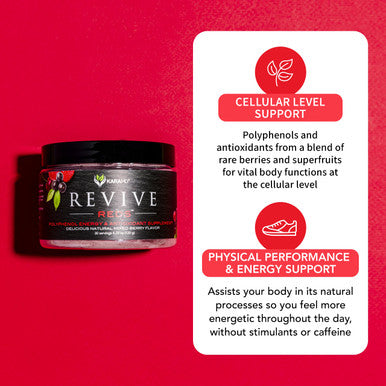 Karamd Revive Reds - Superfood Powder Supplement For Inflammation & Natural Energy - With Shilajit, Antioxidants & Polyphenols - Mixed Berry Flavor - 30 Concentrated Drink Mix Servings