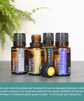 Nature s Fusions Sweet Marjoram 100% Pure and Essential Oils 15 mL