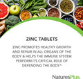 Naturesplus Zinc Tablets - 10 Mg, 90 Vegetarian Supplements - Immune System Supplement For Cellular Growth & Repair - Promotes Healthy Digestion, Metabolism & Vision - Gluten-- 90 Servings
