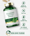 Carlyle Stinging Nettle Leaf Extract 2000Mg | 300 Capsules | Non-Gmo & Gluten Free Supplement
