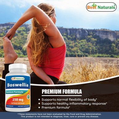 Best Naturals Boswellia Serrata Joint Health 250 mg 120 Capsules - Standardized to 65% Boswellic Acid (120 Count (Pack of 2))