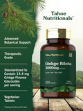 Carlyle Ginkgo Biloba | 3000mg Per Serving | 200 Tablets Extra Strength | Vegetarian | Non-GMO & Gluten Supplement | Tahoe Nutritionals