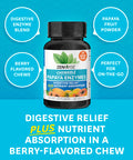 Zenwise Health Papaya Enzymes Chewable with Digestive Enzymes and Bromelain for Digestive Health and Bloating Relief for Women and Men Enzymes for Digestion and Gut Health - 60 CT