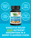 Zenwise Health Papaya Enzymes Chewable with Digestive Enzymes and Bromelain for Digestive Health and Bloating Relief for Women and Men Enzymes for Digestion and Gut Health - 60 CT