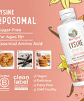 Maryruth Organics Vegan Lysine Supplement by | Ultra Absorption | Lysine 500mg | Collagen Formation Support | Immune Support Supplement | Health & Wellness | Non GMO | Gluten | 30 Servings