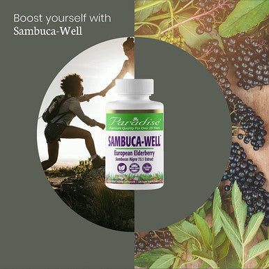 Paradise Herbs Sambuca-Well | Sambucas Nigra | European Elderberry 50:1 Extract | Vegan | NON-GMO | Gluten | 60 Vegetarian Capsules