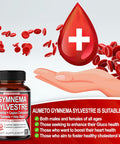 Aumeto Ultra Gymnema Sylvestre Supplements - Enhanced with Berberine Ceylon Cinnamon Holy Basil for Optimal Immunity Pancreatic & Circulatory Function