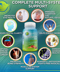 All Day Vegan Supplement Overall Health Support Vegan Whole Food Multivitamin With Iron Liposomal Vitamin C 1500Mg And Optimal Dim Diindolylmethane Plus Supplement 200Mg