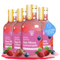 Mango Pink Pepper Sea Moss Electrolyte Lemonade Ã¢â‚¬â€œ Exotic Spiced Hydration Drink Ã¢â‚¬â€œ No Added Sugar with Sea Moss & Electrolytes Ã¢â‚¬â€œ 4 x 12 fl oz Bottles Ã¢â‚¬â€œ Made in USA