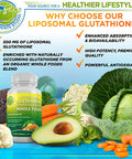 Total Immune And Master Antioxidant Bundle Liposomal Glutathione 500Mg Liposomal Vitamin C Liquid Gel 1100Mg Quercetin 500Mg With Bromelain Zinc And Vitamin C Supplement