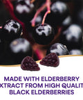 Garden of Life Dr. Formulated Probiotics Organic Kids+ Plus Vitamin C & D - Berry Cherry - Gluten & Nature'S Way Sambucus Elderberry Immune Gummies