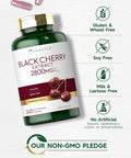 Carlyle Black Cherry Extract Concentrate 2800 mg | 240 Capsules | Non-GMO and Gluten Formula | Prunus Serotina Supplement