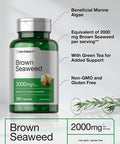 HorbÃƒÆ’Ã‚Â¤ach Brown Seaweed Extract Capsules 2000mg 200 Pills Fucoxanthin Supplement Non GMO Gluten Free by Horbaach