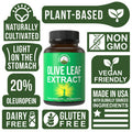 Olive Leaf Extract Capsules. Pure High Strength In Vegan Capsules With 20% Oleuropein, High Antioxidants. Supports Optimal Immune