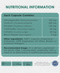 Ambrosial Ambrosial Herbal Immunity Booster for Immune Support | Immunity Supplements with Blend of 6 Natural Herbs- Amla Ashwagandha Giloy Turmeric Black Pepper & Licorice (Pack of 1-60 Capsules)