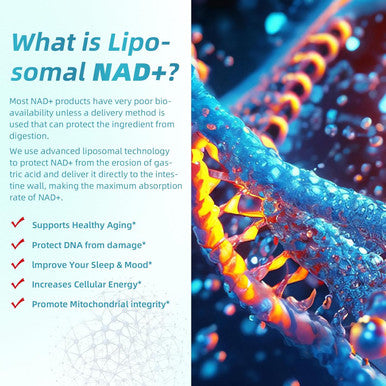 Nad+ Capsules Supplement: Ultra Strength Liposomal Resveratrol Boost Cellular Health Stamina Support Healthy Aging With 1500Mg Nad Plus Supplement 90 Capsules 45 Day Supply