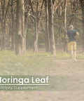 PURE ORIGINAL INGREDIENTS Moringa Oleifera (100 Capsules) Always Pure, No Additives Or Fillers, Lab Verified