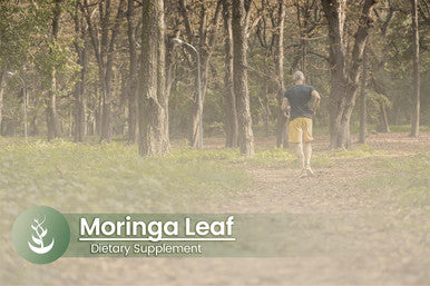PURE ORIGINAL INGREDIENTS Moringa Oleifera (100 Capsules) Always Pure, No Additives Or Fillers, Lab Verified