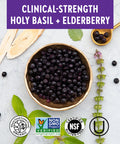 New Chapter One Daily Multivitamin + Immunity Enhanced Immune Support from Extra Vitamin C, D3 & Zinc + Clinical-Strength Holy Basil* 100% Vegetarian, Non-GMO, Certified Gluten Free, 30 ct