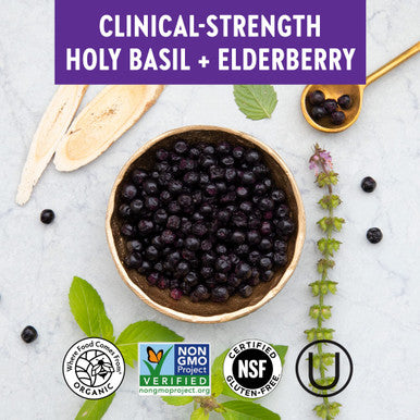 New Chapter One Daily Multivitamin + Immunity Enhanced Immune Support from Extra Vitamin C, D3 & Zinc + Clinical-Strength Holy Basil* 100% Vegetarian, Non-GMO, Certified Gluten Free, 30 ct