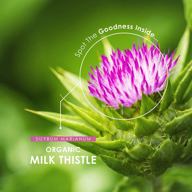 Organic Milk Thistle 1200mg - Silybum Marianum - Organic, Non GMO, Gluten , Halal - 120 Vegan Capsules